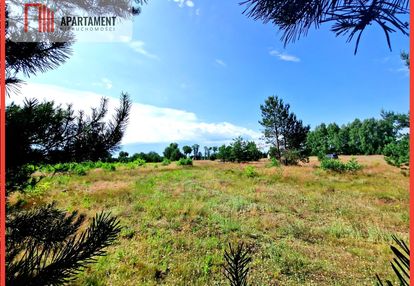 Wymarzone miejsce na  twój dom w otulinie sosen!