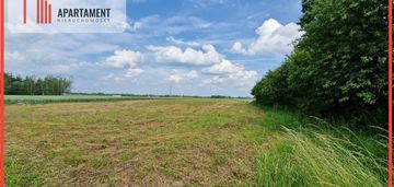 Działki w wiewiórczynie!