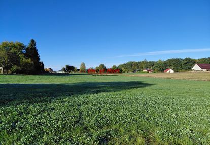 Piękne działki – dębowiec, ul. sadowa