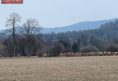 Działka widokowa w kostrzycy.
