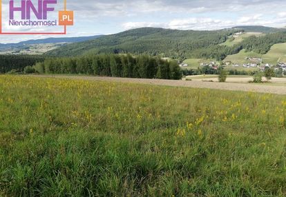 Działka widokowa 74,28ar długołęka-świerkla
