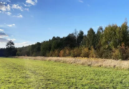 Działka na sprzedaż 3900m2