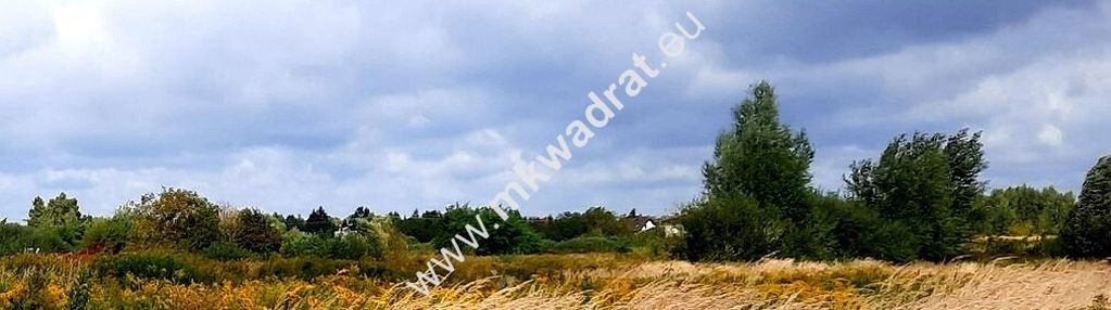 Działka przy s8 pod halę