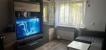 Przestronne 3 pokoje | spokojna zielona dzielnica
