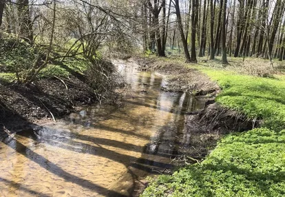 Działka na sprzedaż 6031m2