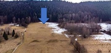 Duża 20 arów z dużym 2 ha prywatnym lasem