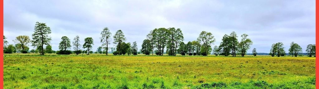 Dziemionna 1440 m2 z warunkami zabudowy