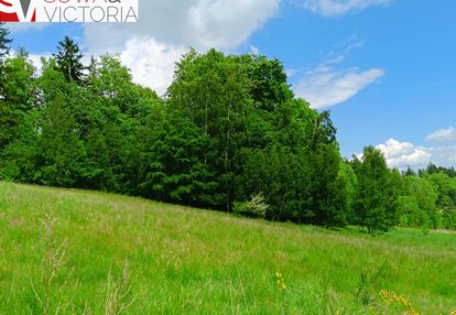 Działka budowlana 3 km od wałbrzycha