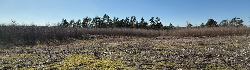 Atrakcyjna działka w chwaszczynie - 1093 m²