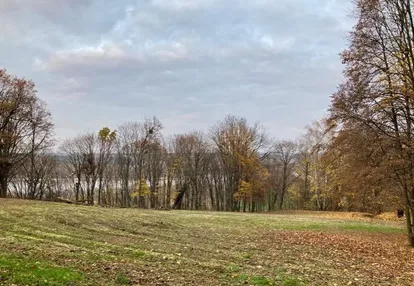 Działka na sprzedaż 126m2