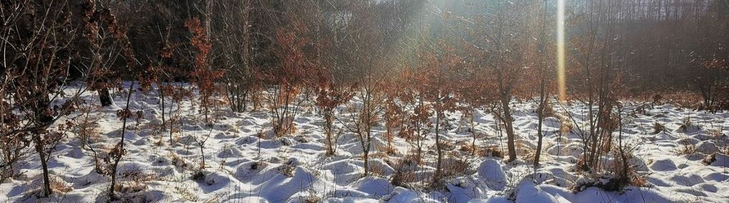 Sułów, trzy malownicze działki budowlane.