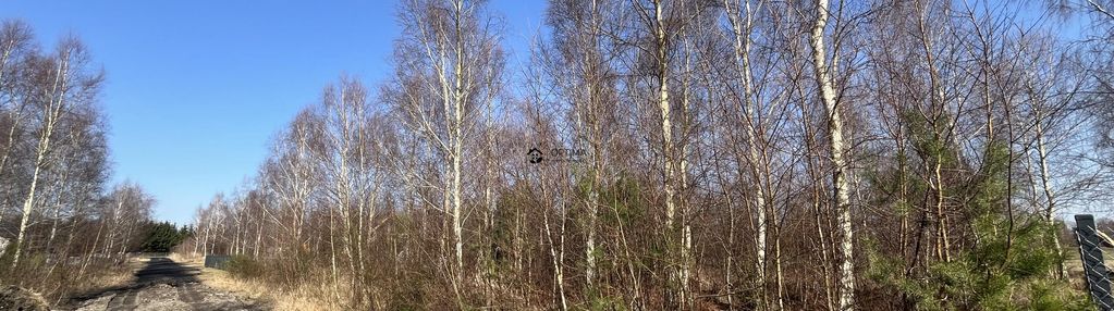 Atrakcyjna działka w ołużnej z warunkami zabudowy