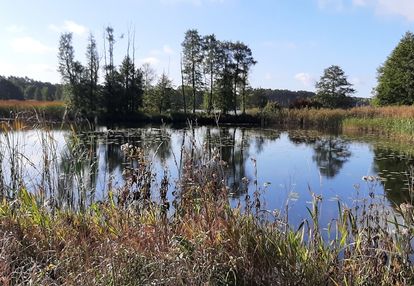 Urokliwe siedlisko - działki od 3000m2 do 25,6 ha