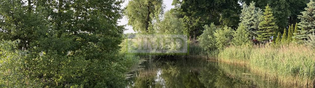 Staw z zagajnikiem na działce budowlanej wydana wz