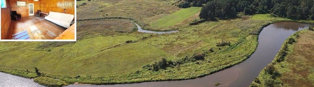 Domek letniskowy w lesie nad pilicą. wieś biała.