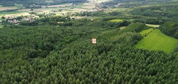 Na sprzedaż wyjątkowy kompleks leśny 15,43 h (las)