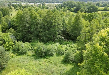 Duża działka 2ha przy narwi, zabudowa siedliskowa.