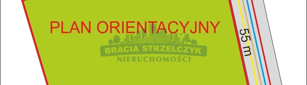 Cichy  i  zielony  anin