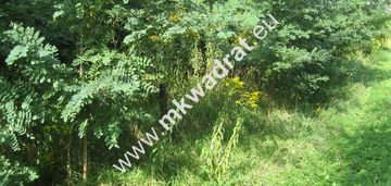 Działka budowlano-usługowa żółwin