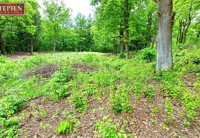 Działka budowlana widok na pasmo karkonoszy