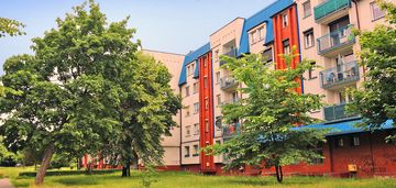 4-pok. mieszkanie, doskonała lokalizacja - brynów