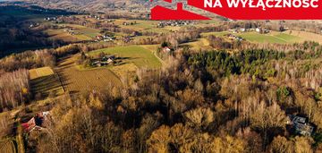Działka leśna tuchów