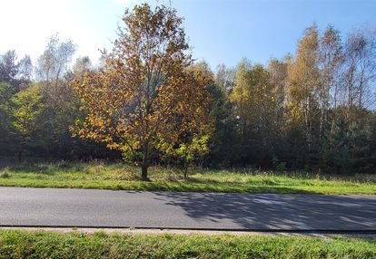 Podzielona działka z przeznaczeniem do zabudowy