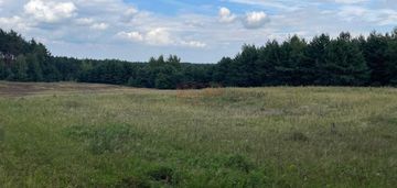 Działka 3343 m2 z lasem - wzgórza ostrzeszowskie