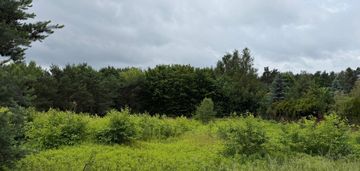 Działka budowlana, warszawa wawer alekasndrów mpzp