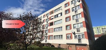 3 pokoje/kuchnia z oknem/balkon/piwnica