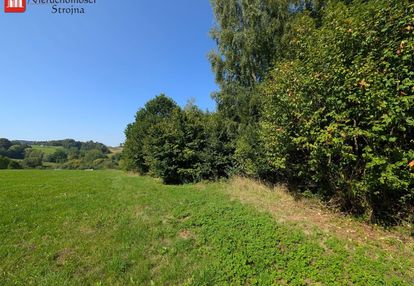 Atrakcyjna działka rekreacyjna 10a, janowice