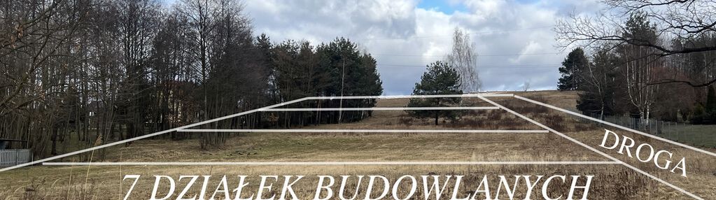 Wyjątkowa działka na sprzedaż – 1 ha w rytwianach