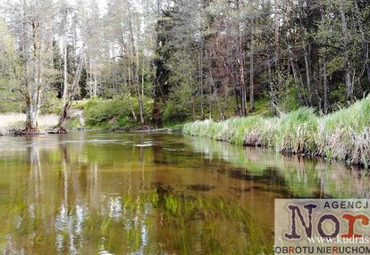 Działka, linia brzegowa czarna hańcza,
