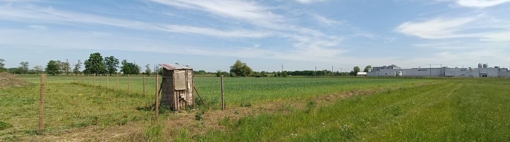 Grodzisk maz.- wólka grodziska 1500m, okazja!