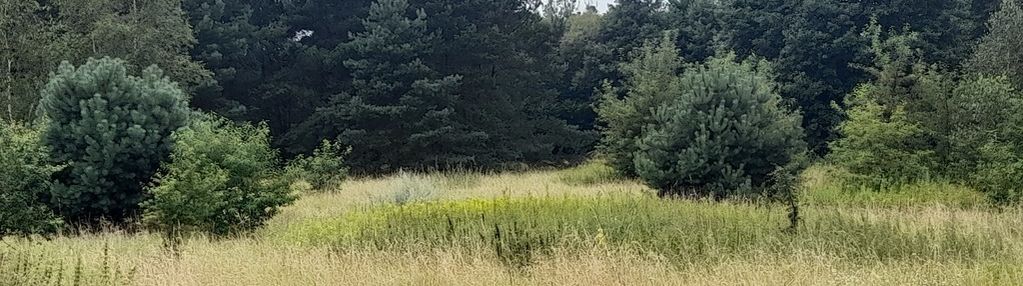 Dwie piękne działki w gutowie