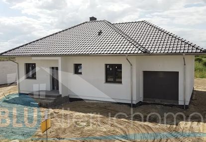 Głogów, krzekotówek, dom parterowy