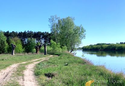 Rzeka bug/las/media/natura