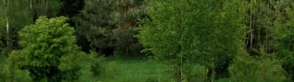 Działka 1,26 ha z wz | 2 domy | stara huta