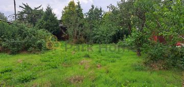 Działka rod kościan "słonecznik"