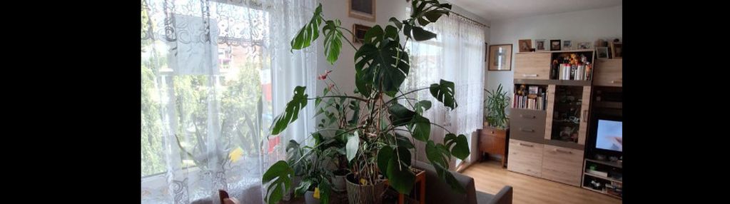 2 pokoje w kameralnym budynku | gdańsk kokoszki