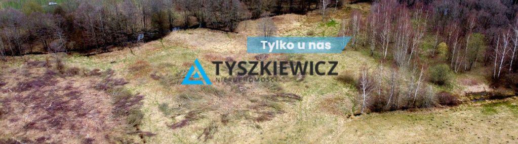Działka  rolna  w sąsiedztwie lasu