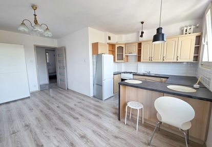 Mieszkanie do wynajęcia 3 pokoje w sieradzu