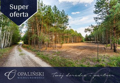 Działki przy lesie | wz | zieleń | cisza | klimat