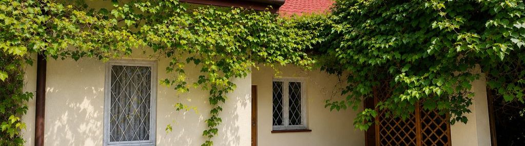 Ranczo  warmia | las | staw rekreacyjny |