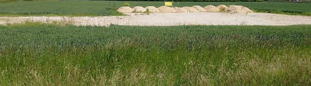 Szewce działka 6 600 m2 /inwestycja