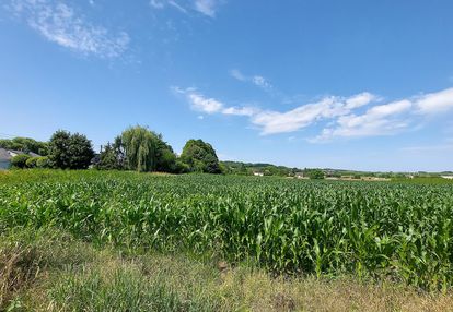 Oferta inwestycyjna działka |30.929 m²| piekary śl