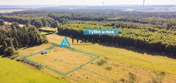 Dąbrowa brzezieńska gm. łęczyce działka 3000m2