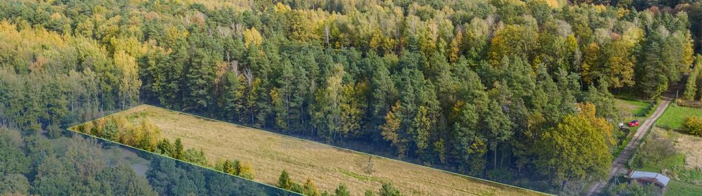 Działka budowlana 5650 m² z gotowym projektem domu