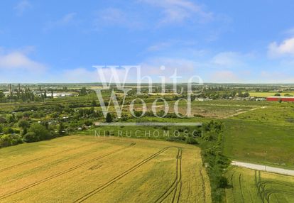 Strefa ekonomiczna: usługi, produkcja, przemysł