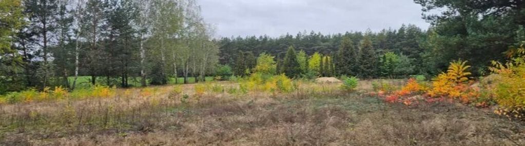 Działka 2457 m² położona przy lesie, media.